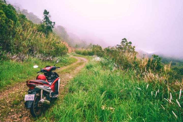 Motorcycle And Nature
