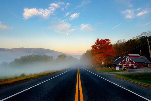Foggy Road In Massachusetts