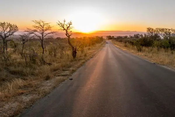 Sunset Road At Kruger National Park In South Africa